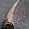 homemade-b-didgeridoo-makowh-2